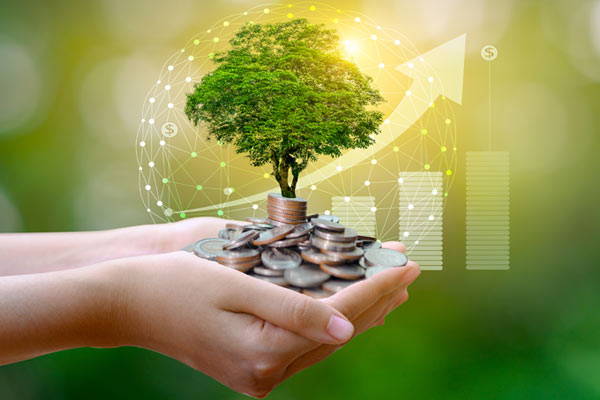 Referral Affiliate Commissions